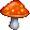 Nấm thần kỳ